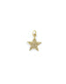 Small 14K Gold 5 Point Diamond Star Pendant