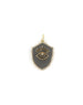 14K Gold Matte Silver Evil Eye Shield Charm