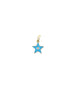 14K Gold Turquoise Enamel Star Charm